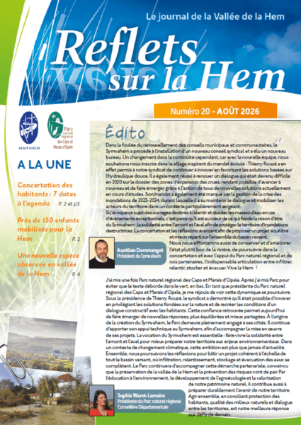 Reflets sur la Hem N20